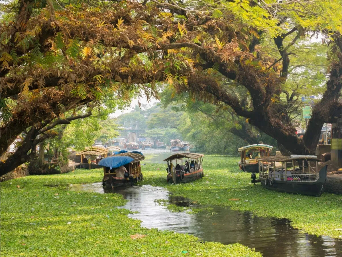 Exotic Kerala