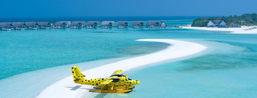 Marine Life Exploration Scuba Maldives